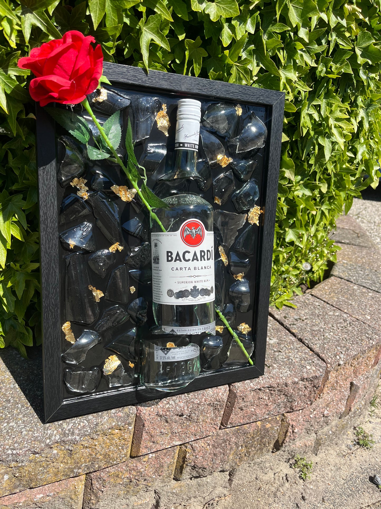 Bacardi carta blanca
