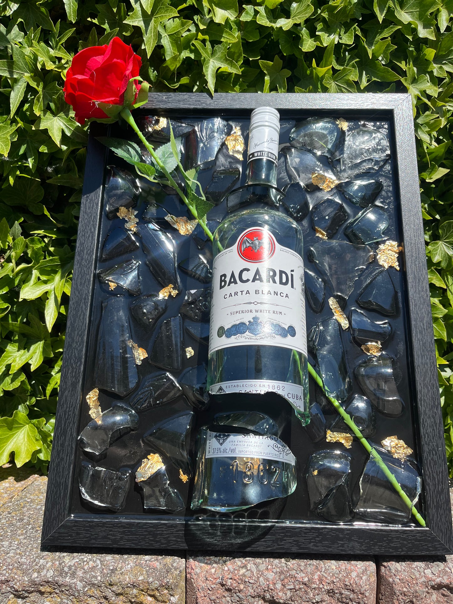 Bacardi carta blanca