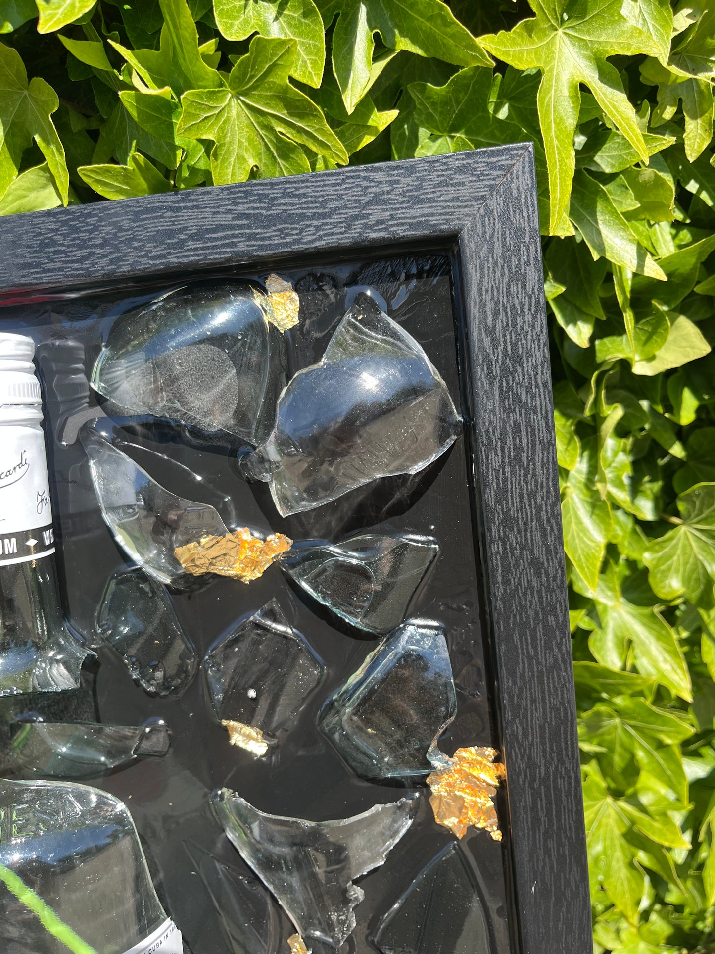 Bacardi carta blanca