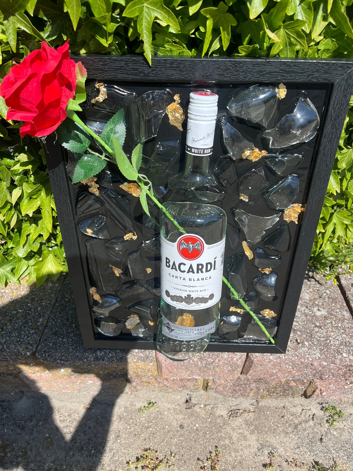Bacardi carta blanca