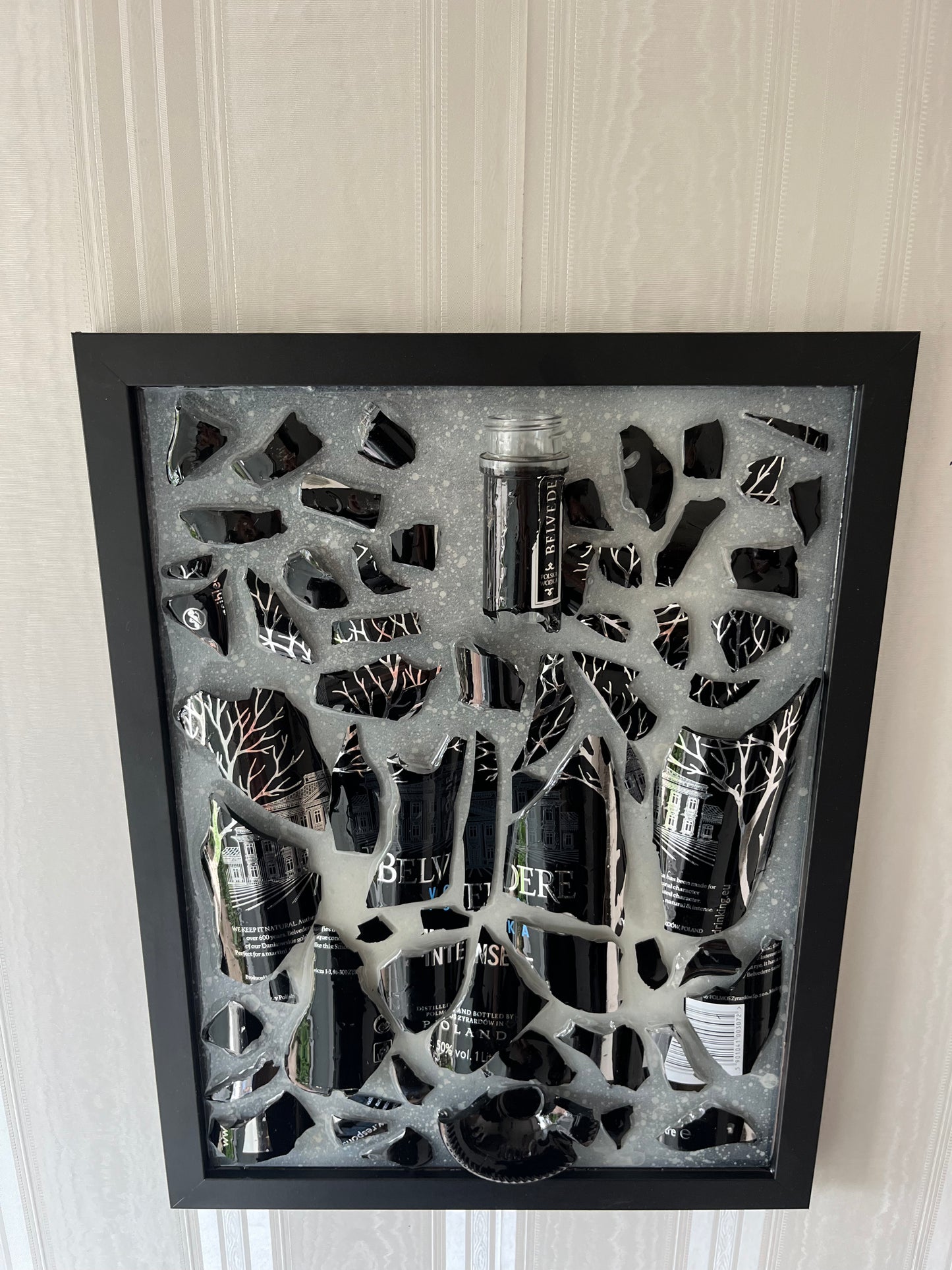 The Galaxy Belvedere